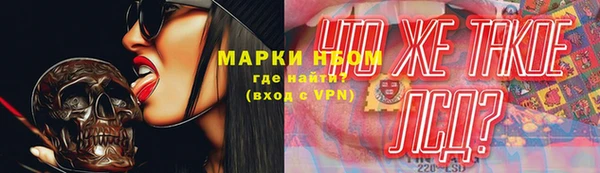 хмурый Гусь-Хрустальный