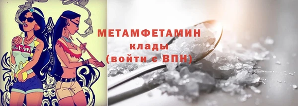 шишки Гусиноозёрск