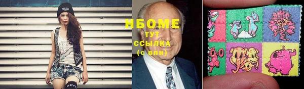 хмурый Гусь-Хрустальный