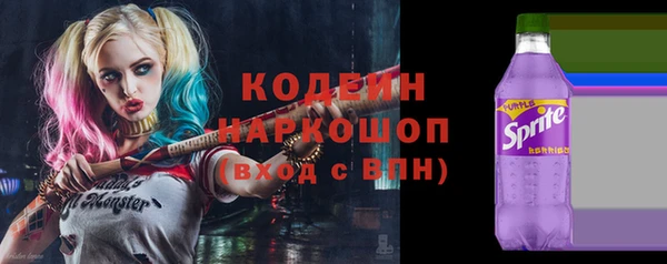 шишки Гусиноозёрск