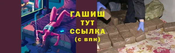 первитин Гусев