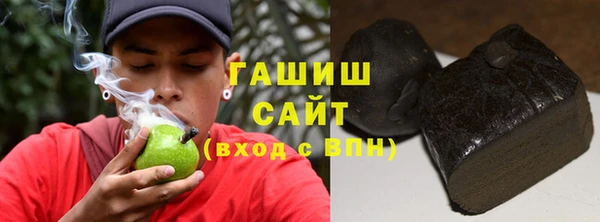 хмурый Гусь-Хрустальный