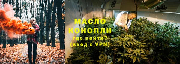 шишки Гусиноозёрск