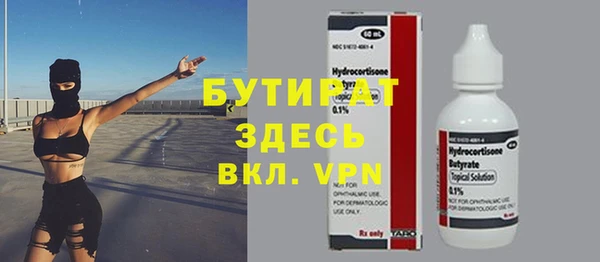шишки Гусиноозёрск
