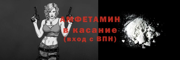 хмурый Гусь-Хрустальный