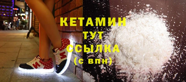 хмурый Гусь-Хрустальный