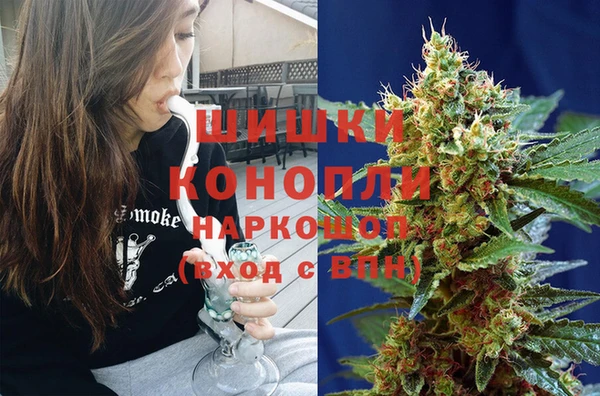 шишки Гусиноозёрск
