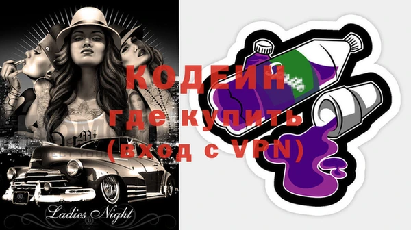 хмурый Гусь-Хрустальный