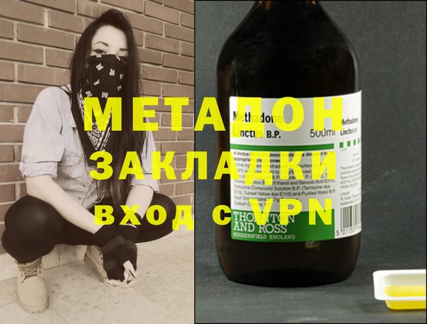 шишки Гусиноозёрск