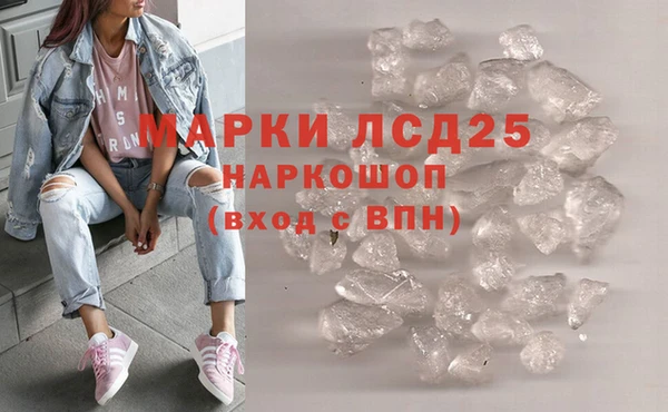 шишки Гусиноозёрск