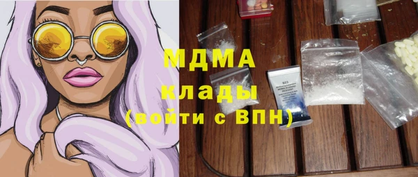хмурый Гусь-Хрустальный