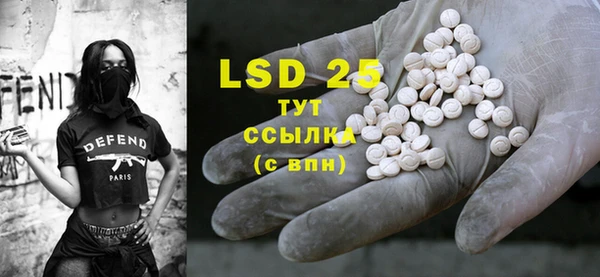 шишки Гусиноозёрск