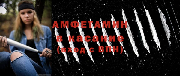 шишки Гусиноозёрск