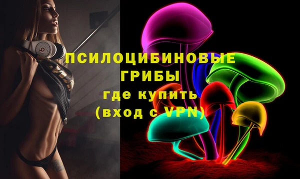 хмурый Гусь-Хрустальный