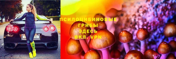 шишки Гусиноозёрск
