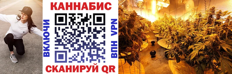 Купить где  Черногорск  Каннабис индика 